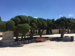 iphone_upload_pic-丽池公园