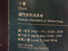 -影汇之星8字形摩天轮