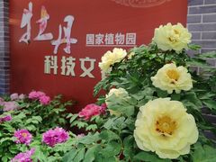 -国家植物园南园