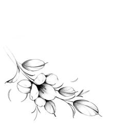 -针牛刺客·刺青纹身