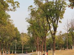 -洋湖国家湿地公园