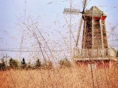 -羊亭河湿地公园