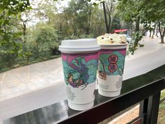 -茶颜悦色(岳麓山顶店)