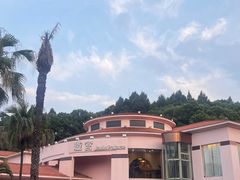-圣爵菲斯大酒店(长沙世界之窗店)