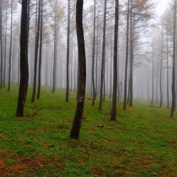 -Oasis Beauty水磨坊科技美肤中心