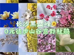 -趣飞飞黑麋峰国际滑翔伞基地
