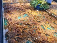 -驻海渔市(置信店)