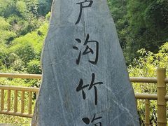 -芦沟竹海