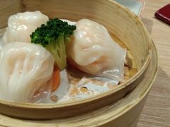 -南枝记