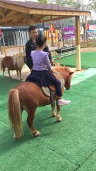 骑小马-萌宠亲子动物乐园(槐房万达店)