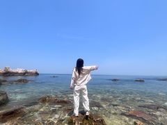 -养马岛旅游度假区
