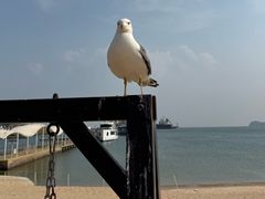 -海驴岛(荣成市)