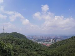 -大雁山风景区
