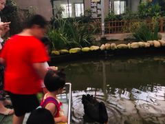 -龙寺生态园