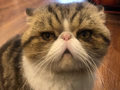 -参差咖啡(水果湖公园店)