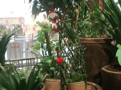 -老客家·客家菜(万达店)
