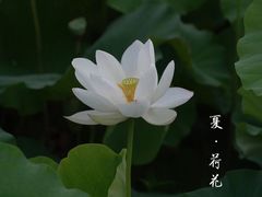 -梁鸿国家湿地公园