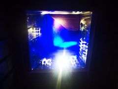 -元生咖啡(陶溪川店)