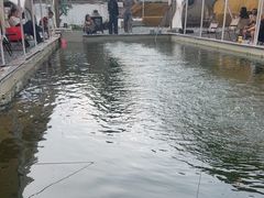 -DGE季风钓虾营地·团建·聚会