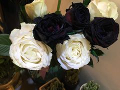 -三圣花乡旅游区