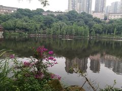 -重庆彩云湖湿地公园