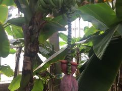 -龙达温泉生态城