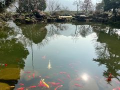 -中国茶叶博物馆(双峰馆区)