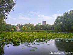 -青城公园