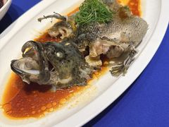 -阳光海鲜城(太仓万达店)