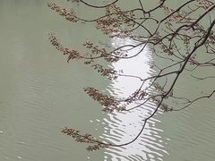 -成都市活水公园