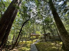 -西芳寺(苔寺)
