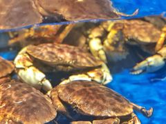 -盒马鲜生(顺义店)