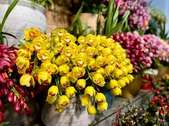 -双季花艺园艺市场(浦东店)