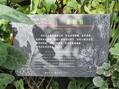 -郑州植物园
