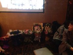 -乐圣量贩KTV自助餐(崇文店)