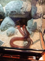 -酷嗒动物文化乐园(cutezoo西溪乐天城店)