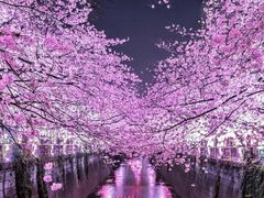 -翼丰日语·日本留学·移民服务中心(宝安校区)