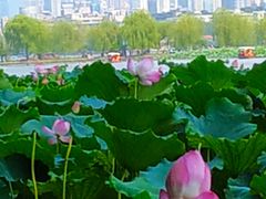 -杭州西湖风景名胜区-北街寻梦