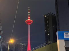 -辽宁电视塔