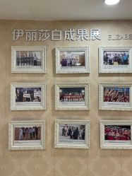 -伊丽莎白医疗美容