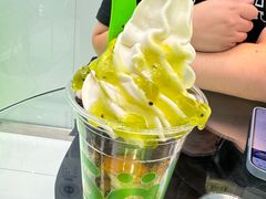 -Salud撒露欧洲冻酸奶(蓝色港湾店)