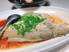 -俏江南-江景昆曲主题餐厅(正大广场店)