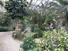 -南宫五洲植物乐园