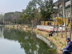 -新江湾城公园