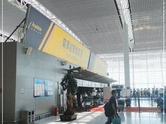 -合肥新桥国际机场-航站楼