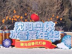 -沈阳奥体冰雪嘉年华