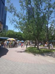 -大望京儿童游乐场