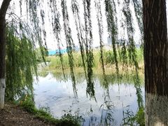 -月湖风景区