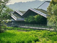 -西湖风景区-江洋畈生态公园