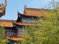 -南山湖公园